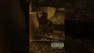 Solar - War is over