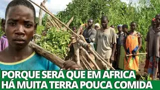 10 FACTOS CH0C4NT€S sobre a AGRICULTURA em AFRICA