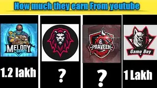 How much 🤔 God Praveen yt | Insane lion | Melody gamer | Gamo boy earn from youtube | #Aclassgamer