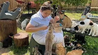Happy Cat House Garden