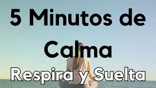 Respira y Suelta: Calma Rápida en Medio del Caos
