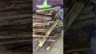 Capucas quien las conoce