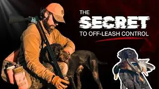 Training to a Standard, Not Trophies | Hunting Dog & Obedience Truths