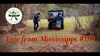 Live from Mississippi #110