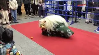 みかんを食べてポイ捨てする獅子舞in秋葉原