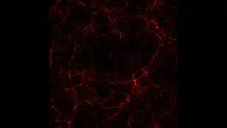 Darren curtis - Unknown fear