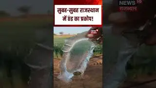 Nagaur Weather News | डेगाना में शीतलहर का कहर | Rajasthan Weather News | N18S | Sprinkler Frozen