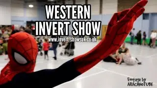 Western Invertebrate Show by www.invert-shows.co.uk