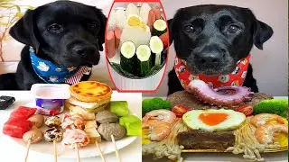 Doggo&rsquo;s Double Delight: From Snacks to Seafood!
