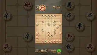 Nhung  tran co tuong giao huu dac sac giua cac ki thu