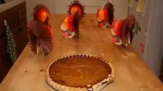 Happy Thanksgiving - Stop Motion Video