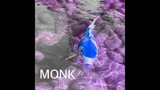 FRiiiTZ - Monk