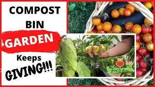 Amazing Compost Bin KITCHEN Garden Harvest | Growing Success in Unfinished Compost | Zone 5 | vlogs