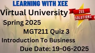 MGT211 Introduction To Business Quiz 3 Spring 2025 Virtual University of Pakistan
