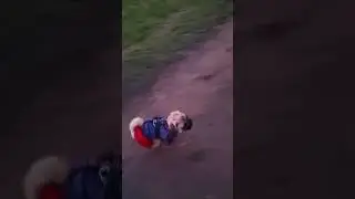 Умный пёс! 🐕 🥰#ЖекаВася #ВасяЖека #мопс #Джексон #pug