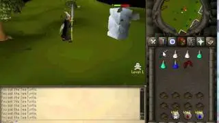 EmpireScapeV2 Pking Vid 2