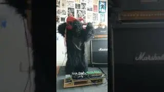Shred Monkey (Slight Return)