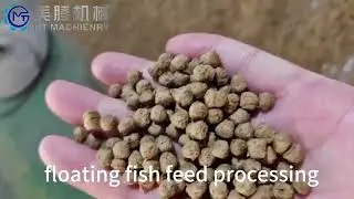 Floating/Sinking Fish Feed Pellet Processing Machinery/Equipment/Mill/Extruder/ Machine/Line