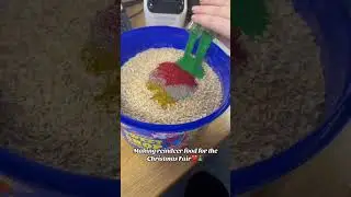 Reindeer food