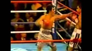 Boxing Tribute - Modern Warriors