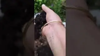 ഇന്നത്തെ ഇഷ്ടമുള്ള ജോലി..
