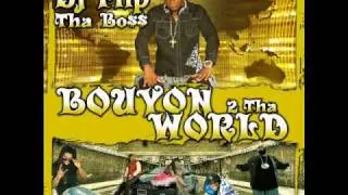 Stereo Love(Bouyon Remix)-Dj Flip ft.Alicia.wmv