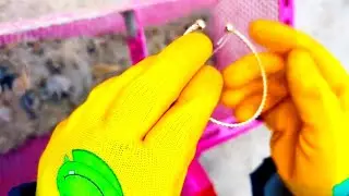 Beach Clean-Up Day: Turning Trash Into Treasure