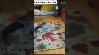 His grandpa's spirit visited him 😱 #GhostlyEncounters #HauntedVideos #ParanormalActivity #creepy