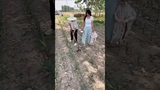 Fertilizer application with wheelbarrow 