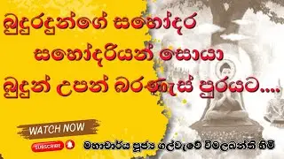 බුදුරදුන්ගේ සහෝදර සහෝදරියන් සොයා බුදුන් උපන් බරණැස් පුරයට | Journey | Kapilavasthu & Buddha’s Siblin