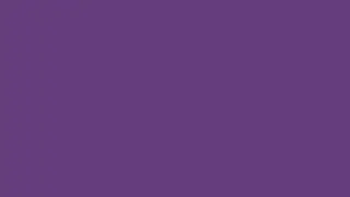 Dark Pansy   Ambient Color Screen 10 Hours
