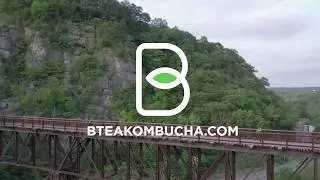 B-TEA KOMBUCHA