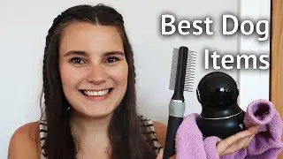 ВЕЩИ, КОТОРЫЕ НУЖНЫ КАЖДОМУ ВЛАДЕЛЬЦУ СОБАК: Мои лучшие покупки для щенков, в том числе: фотоаппарат, халат и многое другое