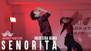 Señorita - Shawn Mendes & Camila Cabello (Orchestra Remix)│ARMSEOK CHOREOGRAPHY