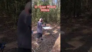 First time shooting my new Q Sugar Weasel .300blk