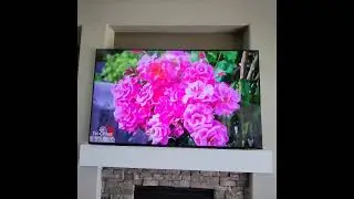 Bonnie Rose Bed Interview