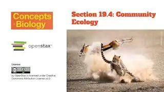 Short Form Lecture for Section 19.4 Community Ecology - Concepts of Biology | OpenStax
