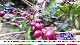 EN VIVO NOTICIERO TVM EL SALVADOR