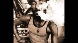 Lee Perry - Beat Down Babylon