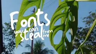 Top 5 Fonts Every Video Editor Should Use for Clean & Professional Edits