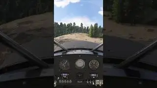 Msfs2024 4k Cub deep bush!