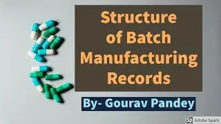 Structure of Batch Manufacturing Record