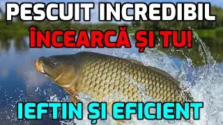 Pescuit incredibil la crap și caras cu o rețetă fantastică! Uite momeala!