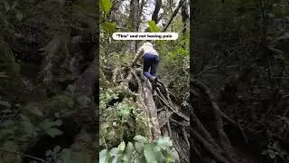 This is what freedom from pain looks like