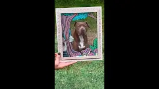 Crayola Window Markers #draw #color #markers #craft #art #creative #homedecor #shorts