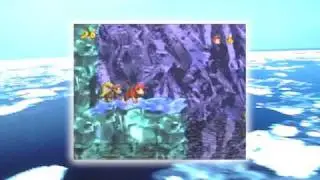 こおりのみずうみ / スーパードンキーコング2【ピアノ＋楽譜】