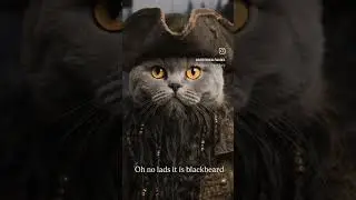 Blackbeard 🐱🏴&zwj;☠️ #cat #pirates