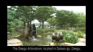 Daegu Arboretum, an Eco Park in Downtown_도심속 생태공간, 대구수목원