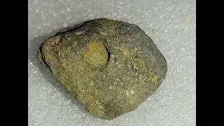 Meteorite Rare Collection,,