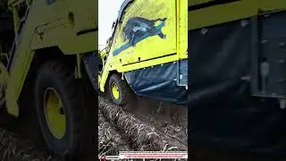 Best Innovative Potato Harvester Machine with Satisfying Automation